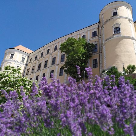 Břeclav Apartman Jan מראה חיצוני תמונה
