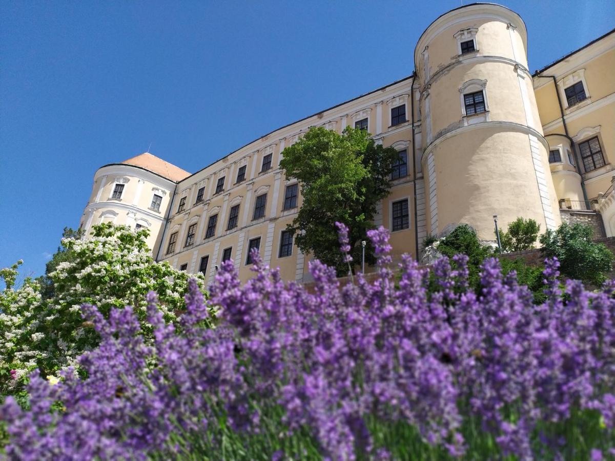 Břeclav Apartman Jan מראה חיצוני תמונה