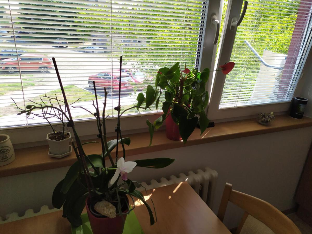 Břeclav Apartman Jan מראה חיצוני תמונה